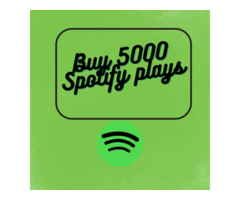 Buy 5000 Spotify plays of High-quality