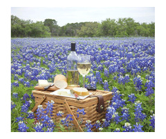 Texas Winery Tours