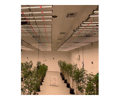 Explore Pvc grow room paneling where durability meets functionality