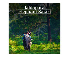 Dooars Package with Jaldapara Elephant Safari From Siliguri