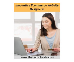 Innovative Ecommerce Website Designers!
