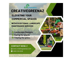 CreativeGreenAZ - Elevating Your Commercial Spaces