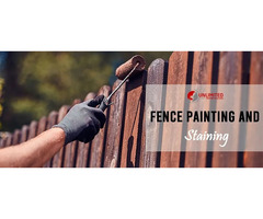 Fence Staining Company: Preserve Your Fence's Beauty