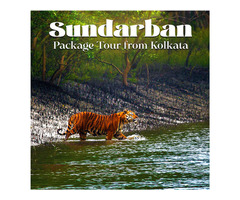 Sundarban Tour Booking from Kolkata