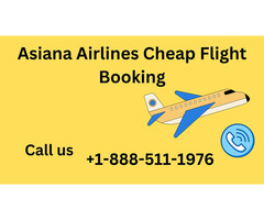 Asiana Airlines Cheap Flight Booking
