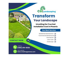 Unveiling the True Sod Installation Cost in Phoenix