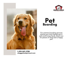 Discover Exceptional Pet Boarding Services in Tacoma, WA