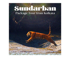 Sundarban Package Tour Cost from Kolkata - Get Best Rate