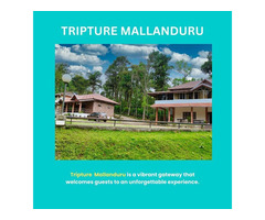 Tripture Mallandur - Best Homestay in Chikmaglur