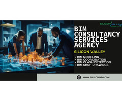 BIM Consultancy Services Agency - USA