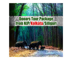 Dooars Tour Package from NJP with Hollong Tourist Lodge