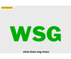 What Does WSG actually Mean?