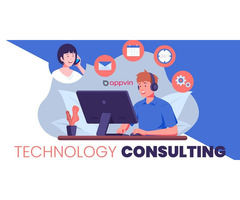 Software & Technology Consulting Services Company