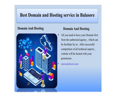 No 1 Domain & Web Hosting Service in Balasore smiwa infosol