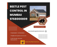 BEETLE PEST CONTROL IN MUMBAI | 9768000809