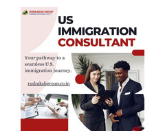Make Moving to the US Easier - Work with a US Immigration Consultant
