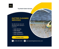 Affordable Service for Professionals Gutter Cleaning in Lakewood