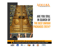 Are you still in search of the best umrah packages 2024?