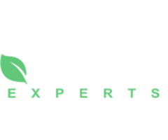 Experienced and Professional Arborists You Can Trust