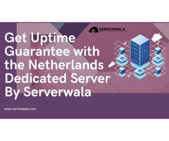 Uptime Guarantee with Netherlands Dedicated Server By Serverwala
