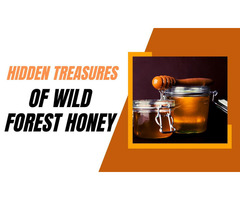 Premier Wild Forest Honey Manufacturers