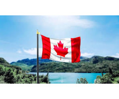 Navigating Canada's Visitor Visa: Key Requirements Simplified