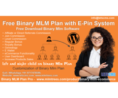 What Is Binary In Network Marketing and Binary Mlm Income?