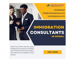 Mohali Immigration Consultants: Seamless, Immigration Services