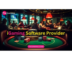 PieGaming: Your Premier iGaming Software Provider