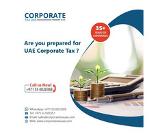 Introducing our UAE Corporate Tax Compliance Guide