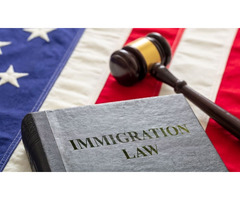 naturalization lawyers