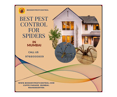 BEST PEST CONTROL FOR SPIDERS IN MUMBAI | 9768000809