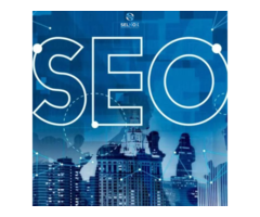 Unveiling the Power of SEO Services in Bhopal