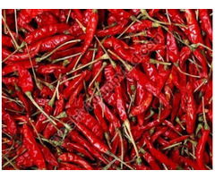 Red chilli Exporters in India