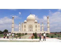 Discover India's most popular cities on a 7-day GT tour