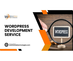 Wordpress Development Service Call +91 7003640104