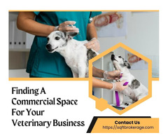 Finding A Commercial Space For Your Veterinary Business