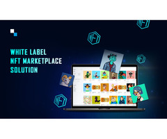 Discover Top-Class White Label NFT Marketplace Solutions at Antier