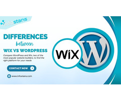 10 Tips for Understanding the Differences Between WordPress and Wix