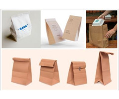 Crafted Brilliance: Best Printed Paper Bag Manufacturer in India