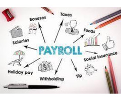 Top 5 Payroll Management System - Genius School ERP