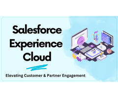 Customer Experiences with Zehntech's Salesforce Experience Cloud