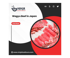 Wagyu Beef in Japan - Ninja Food Tours