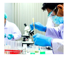 Decode DNA's Top Biotech Internships Training Program 2024