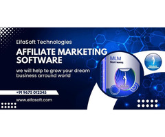 EIFASOFT's Pinnacle in Forced Matrix MLM Software