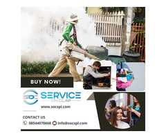 Sofa cleaning services in Kolkata