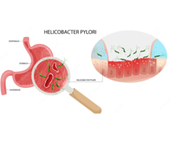 Helicobacter Pylori Treatment – Vitaleee