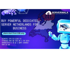 Buy Powerful Dedicated Server Netherlands for Business By Serverwala