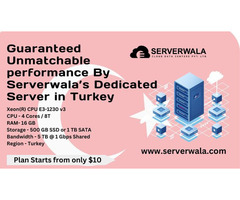 Guaranteed performance By Serverwala’s Dedicated Server Turkey