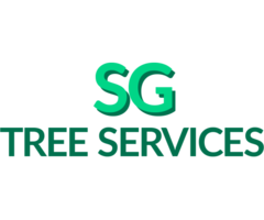 Get the Tree Cutting Service in Aberdeen - Sgtreeservices
